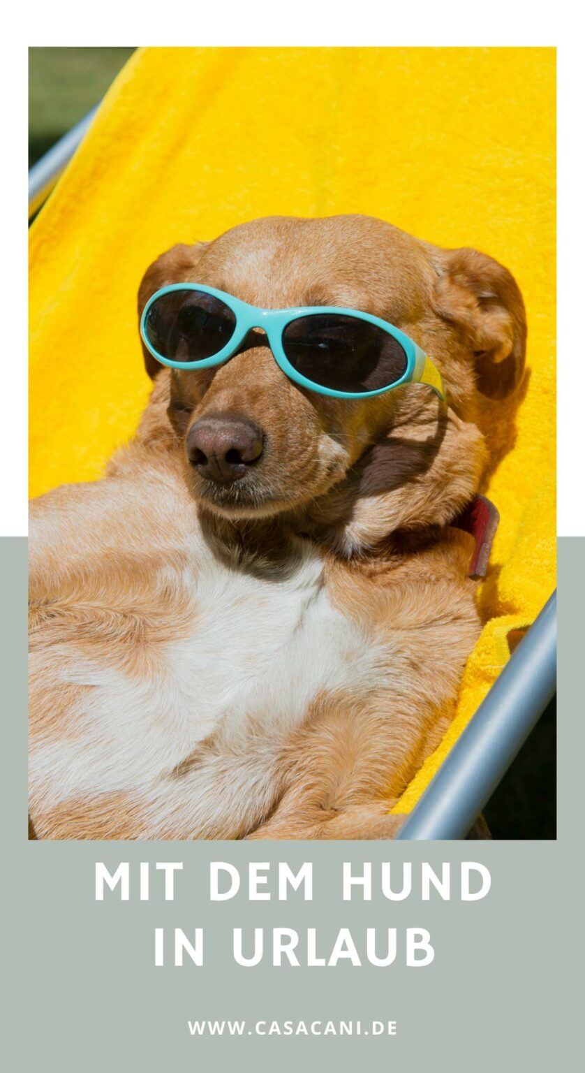 Urlaub mit Hund Tipps für eine entspannte Reise! Casa Cani